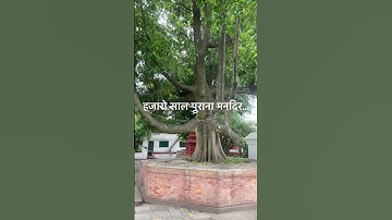 1000 years old temple the great architect…#Ancientmomnument…#Ancienttemple
