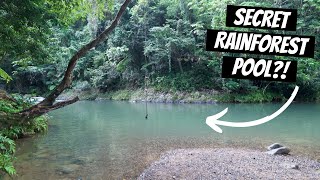 Discovering the Beauty of El Yunque Rainforest