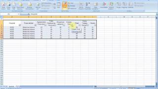 Excel 2007 Data Filter