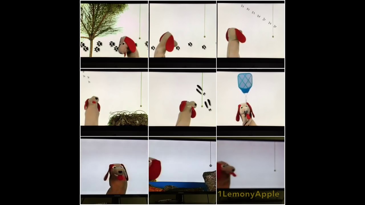 9 Neighborhood Animals Music Videos At The Same Time YouTube