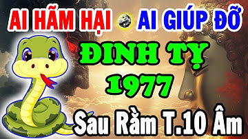 TRỜI THỬ LÒNG NGƯỜI HIỀN: Ai Cản Phúc Ai Mở Vận cho ĐINH TỴ 1977 Từ Nay Đến Tết Dương Lịch 2026