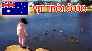 Tham Quan Một Nơi Xinh Đẹp - Yên Bình ở Úc! - Út Nhỏ CSU