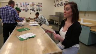 Famous Plan: Learning Targets Profile