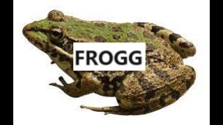 Frog Flying To Freebird