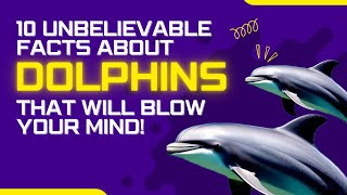 10 Fascinating FACTS about DOLPHINS you need to know