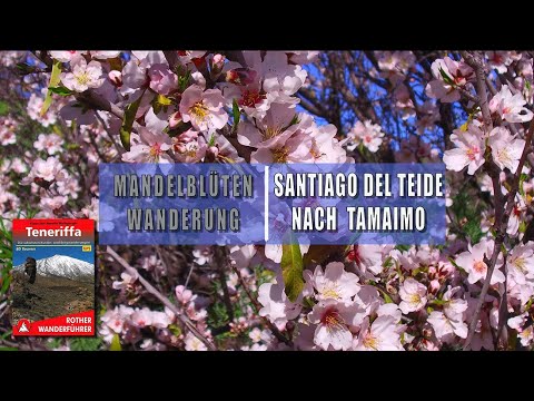 Mandelblütenwanderung von Santiago del Teide über Tamaimo