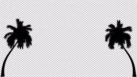 Silhouette Two Palm Trees Background Stock Motion Graphics