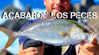 SHORE JIGGING TENERIFE - LA CRISIS DE LOS PECES