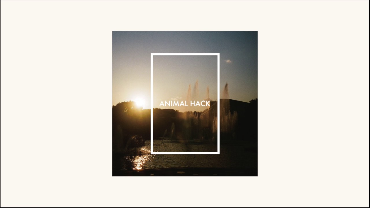 Watch ANIMAL HACK - Plastic Night (Audio) on YouTube Watch ANIMAL HACK - Plastic Night (Audio) on YouTube