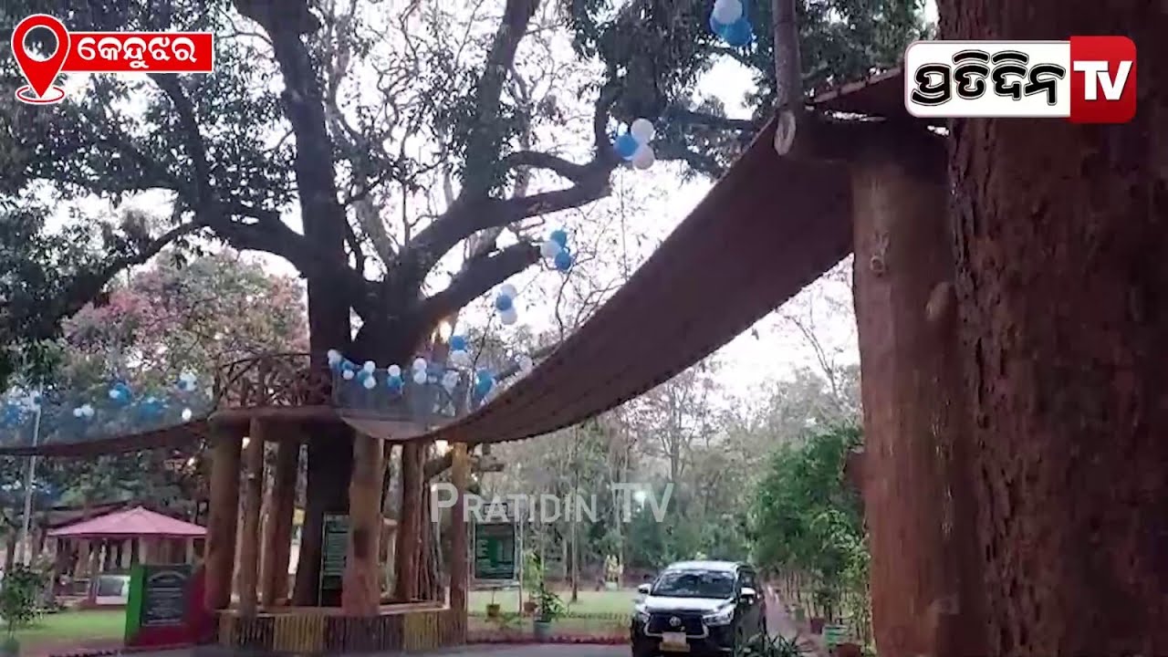 ସାନଘାଗରା Nature Camp ରେ "ଝୁଲନ୍ତା କାଠ" ପୋଲ  ଉଦ୍ଘଟାନ କଲେ ସାଂସଦ ଚନ୍ଦ୍ରାଣୀ ମୁର୍ମୁ। Hanging bridge.