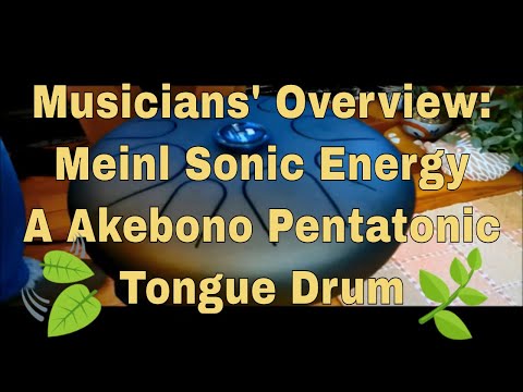 Meinl Sonic Energy Steel Tongue Drum, A Akebono - Sims Music