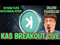 Kaspa's Next Big Move: Are We Headed to $0.066? Toccata Upgrade Could Send It Flying