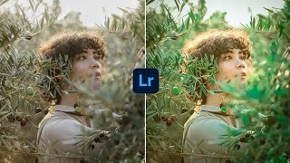 Lightroom mobile Soft Nature tone photo retouching - karan edition screenshot 4