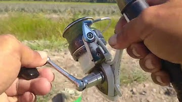 câu cá lóc bằng nhái thật ( tập 5) phần 2 lưỡi móc ngoài móc vô