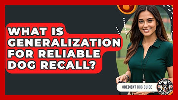 What Is Generalization For Reliable Dog Recall? - Obedient Dog Guide