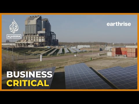 The EcoAmber Effect: A Sustainable Future Is Possible