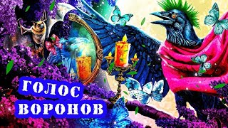 видео: ВАШ ВЫХОД💃 из иллюзий картинка: ВАШ ВЫХОД💃 из иллюзий