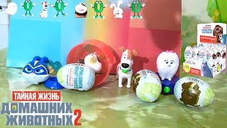 Яйцо Сюрпризы Тайная жизнь домашних животных Видео для детей The secret life of Pets Surprise eggs Яйцо Сюрпризы Тайная жизнь домашних животных Видео для детей The secret life of Pets Surprise eggs