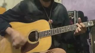 Grant Lee Buffalo - Mockingbirds (guitar cover)