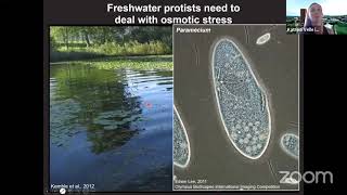 Cell Migration Seminars #42: Allyson Sgro & Katrina Velle