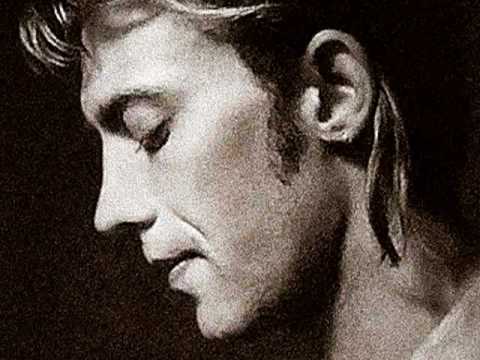 Веня Д'ркин Саша Литвинов - Рябиной за окном.flv