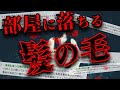 【2ch怖いスレ】引っ越した部屋に髪の毛が散乱するんだが…【ゆっくり】【洒落怖】
