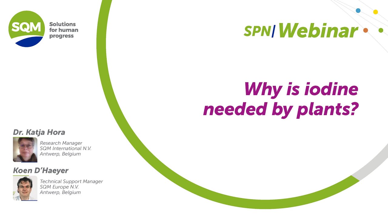 SQM Nutrition inar Why is iodine needed by plants? YouTube