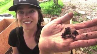 Virtual Farm Field Trip: Soil (Building Worm Bins)