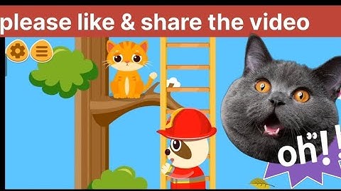 Cat rescue by SDRF team.🙀 Rescue cat from python attack.#cat #cutecat #rescue #kitten #catvideos 