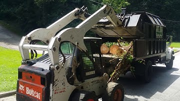 thetreespot com tree service on the job video loading tree logs onto truck