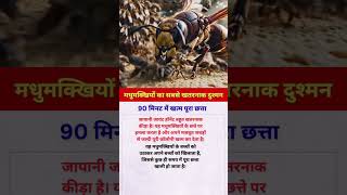 मधुमक्खियों का सबसे खतरनाक दुश्मन…#youtubeshorts #shorts