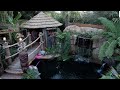 Man Transforms Garden Into Tropical Paradise