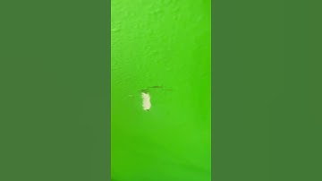 I lost a button on my Logitech G903 and now is unusable. Send help