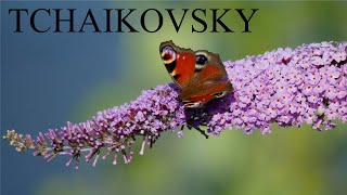 TCHAIKOVSKY - Waltz of the Flowers - HQ Classical Music