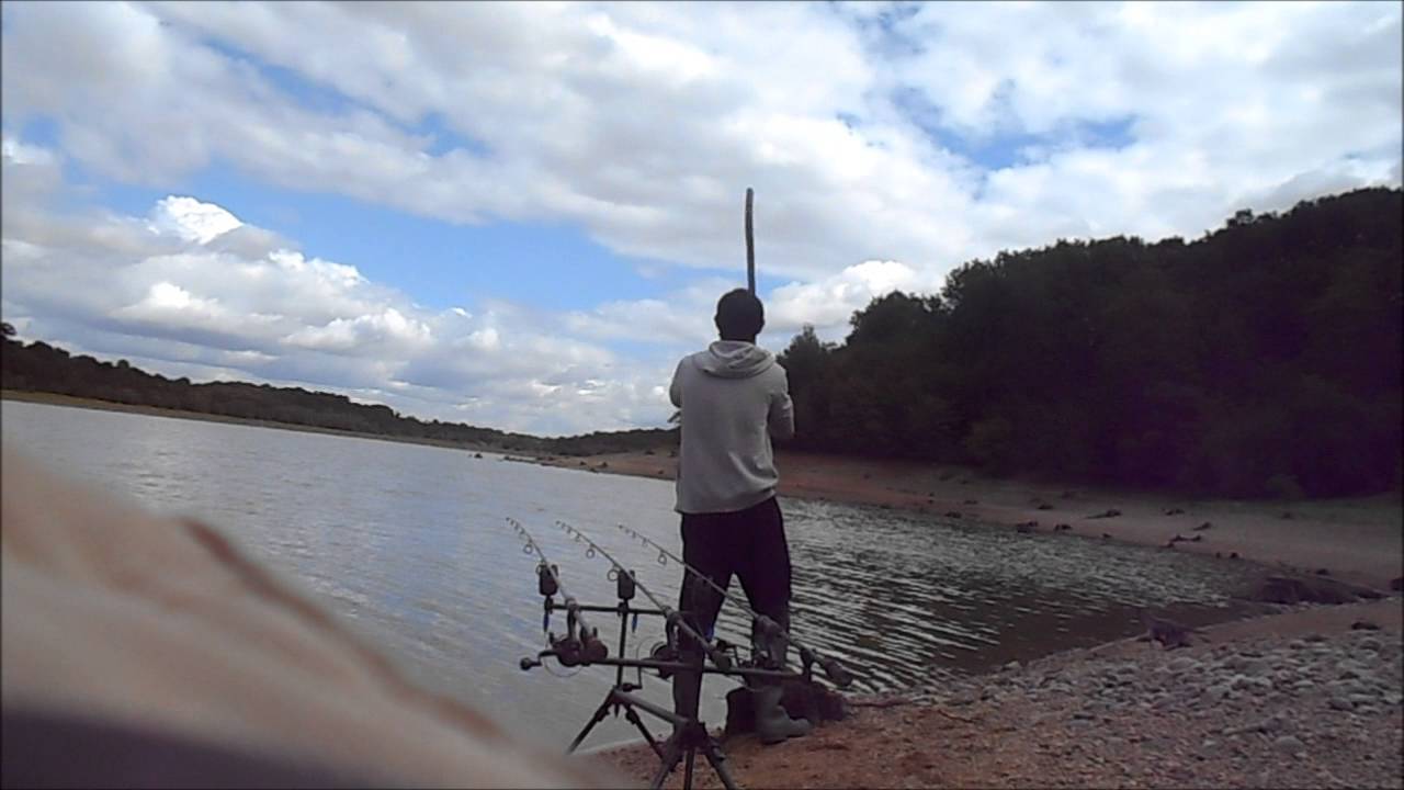 Pêche de la carpe départ en direct de nuit YouTube Pêche de la carpe départ en direct de nuit YouTube