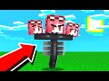 SONO DIVENTATA UN WITHER! - MINECRAFT *TERRIFICANTE*
