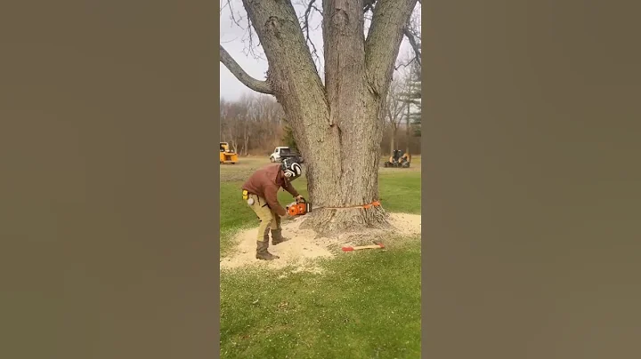 Insanely Satisfying Tree Cutting with Chainsaw #84