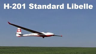 Glasflügel H-201 Standard Libelle, scale RC glider, 2018