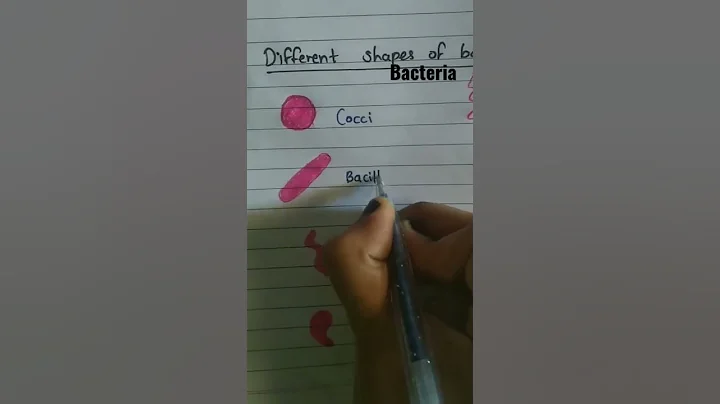 Different shapes of bacteria