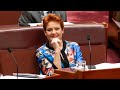 There’s been ‘no presence’ of the Liberals in Vic for ‘quite some time’: Pauline Hanson