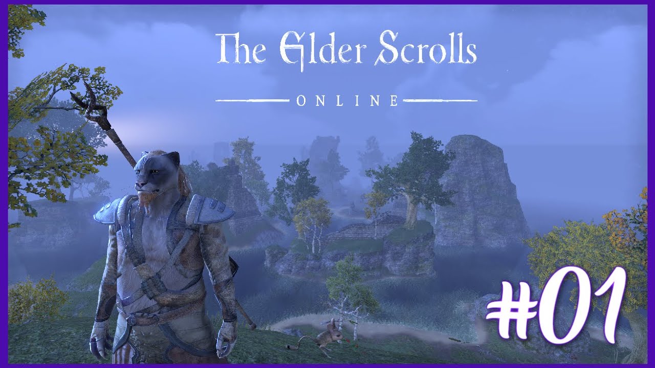The Elder Scrolls Online Charaktererstellung
