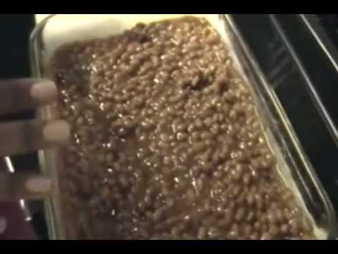 Simple Cooking With Sandy: Pork & Beans w/ Ground Beef