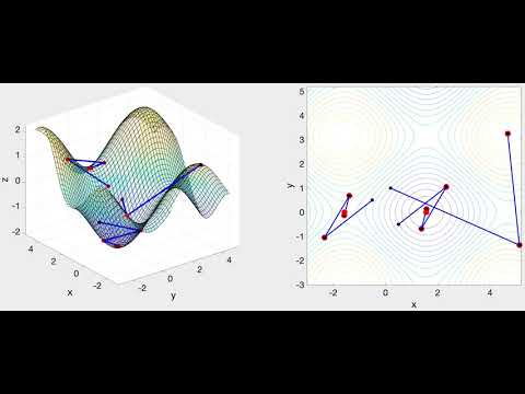 MAT341 (Computational Math): Visualization of Multivariable Newton's Method