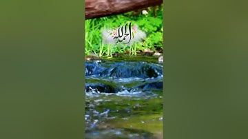 آيات من سورة الفرقان✦محمد كمال هاشم ♥️