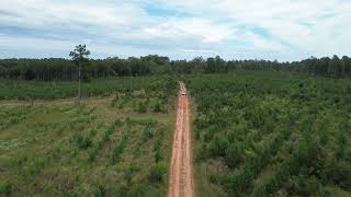 Arkansas hunting lease now available on HLRBO!
