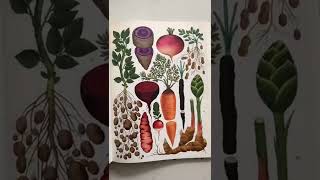 Perfect gift for a botany or plant fan! Botanicum book browsing 📕 SHORTS