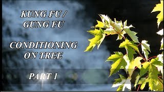 Kung fu, Gong fu, conditioning on tree ! Wooden dummy, Makiwara ancestor ! screenshot 3