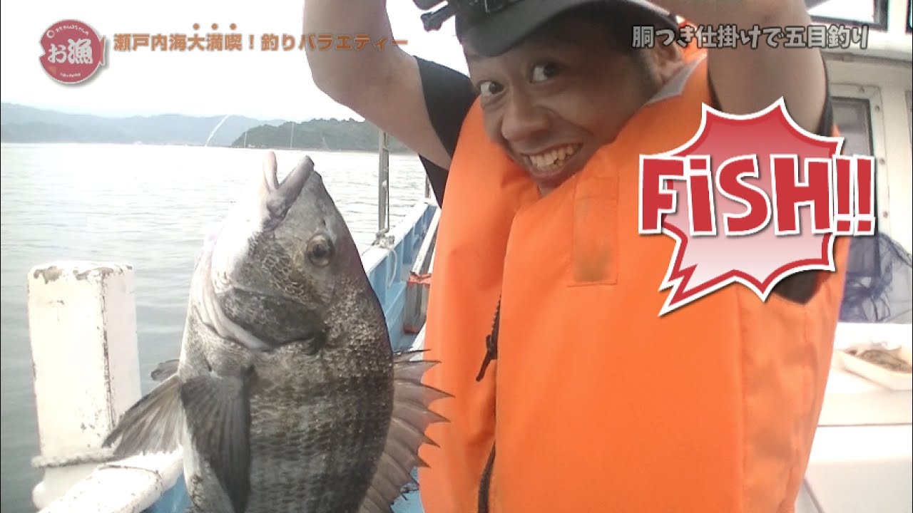 胴つき仕掛けで五目釣り 何が釣れるかな お漁 4 Youtube