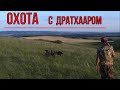 ОХОТА с ДРАТХААРОМ