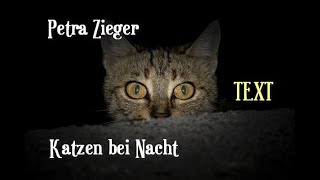 Petra Zieger - Katzen bei Nacht TEXT Cat at Night 😻🕺💃